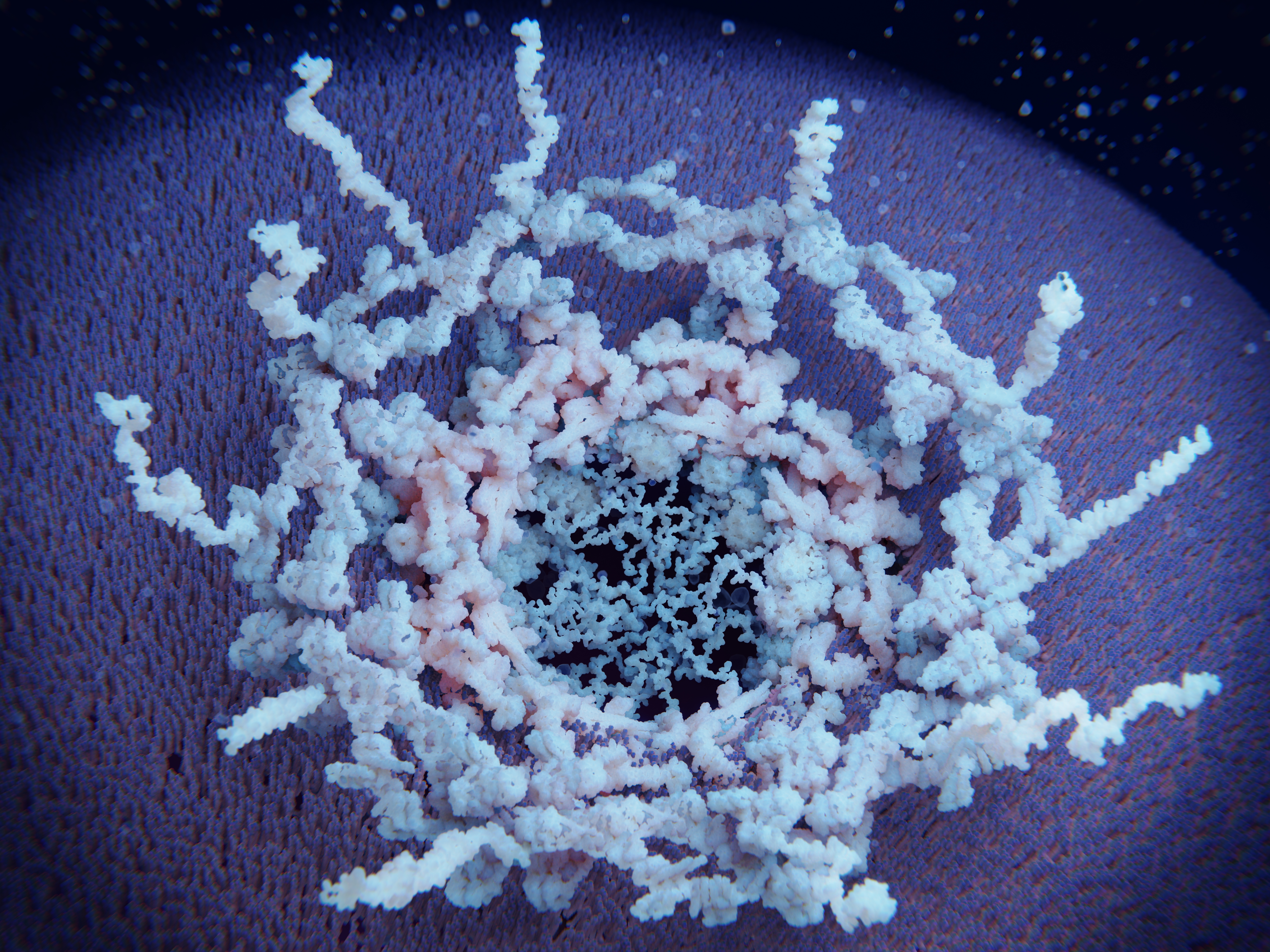 Guidelines-FRBIS_Main